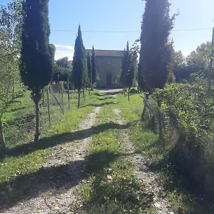 Olivieri Lari